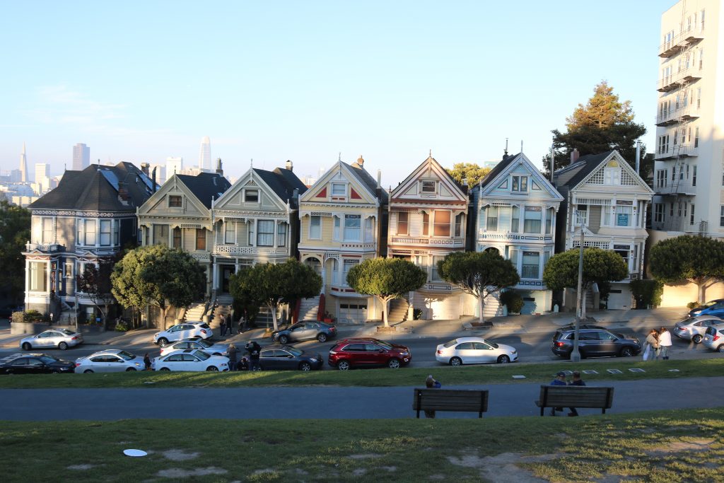 Painted Ladies