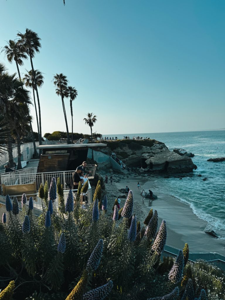 La Jolla – Perła San Diego, do której musisz się wybrać!